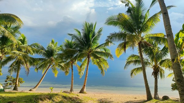 La Crociera dei Sogni Ti Aspetta!